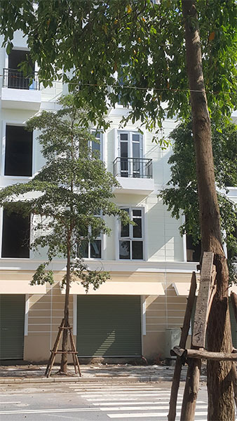 Congtrinh10 4